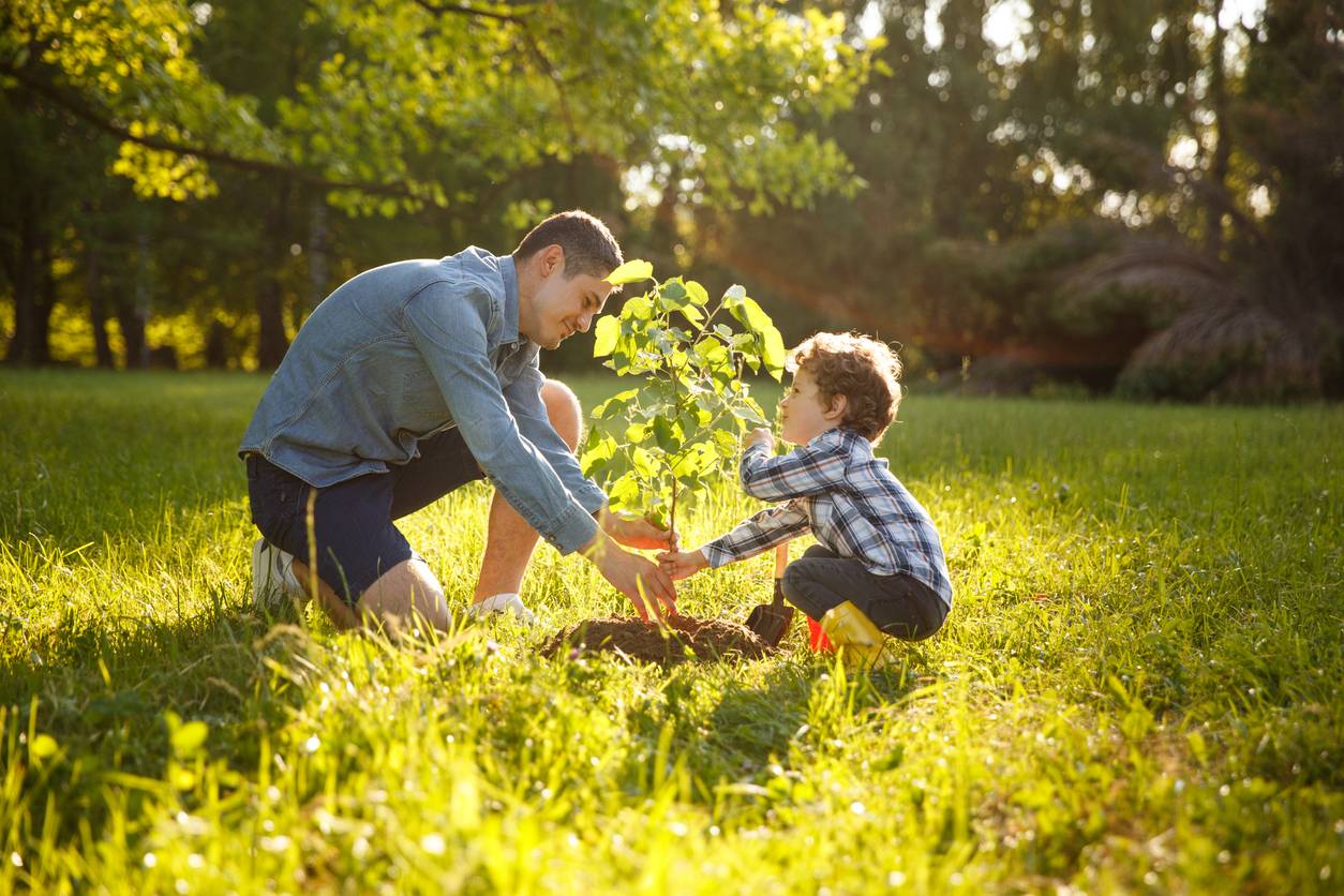 Dveloppement durable sensibilisation enfants