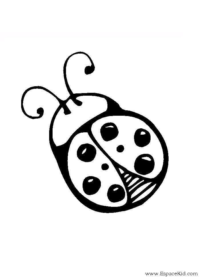 Coloriage Coccinelle ronde coloriages Coccinelle