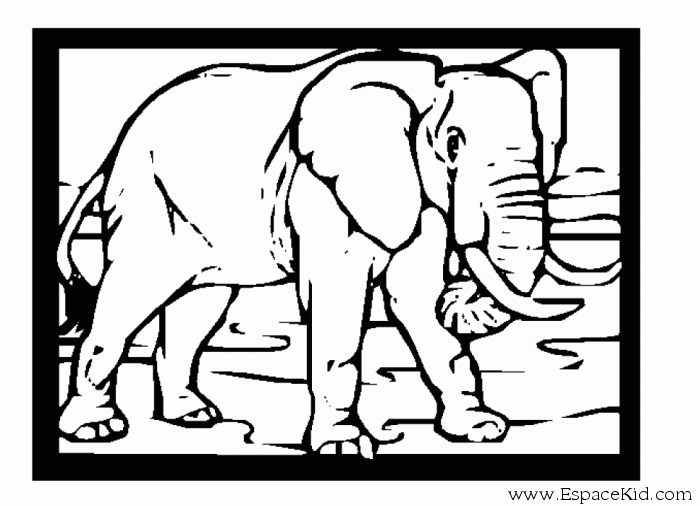 Coloriage Elephant A Imprimer Dans Les Coloriages Elephant Dessin A Imprimer