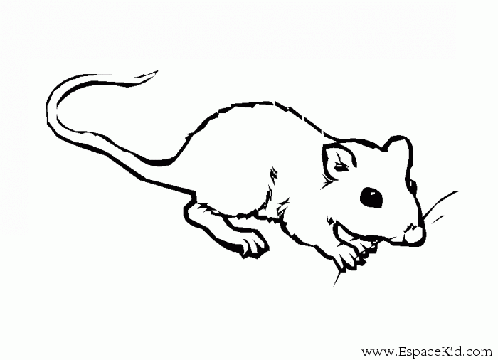 Coloriage A Imprimer Souris