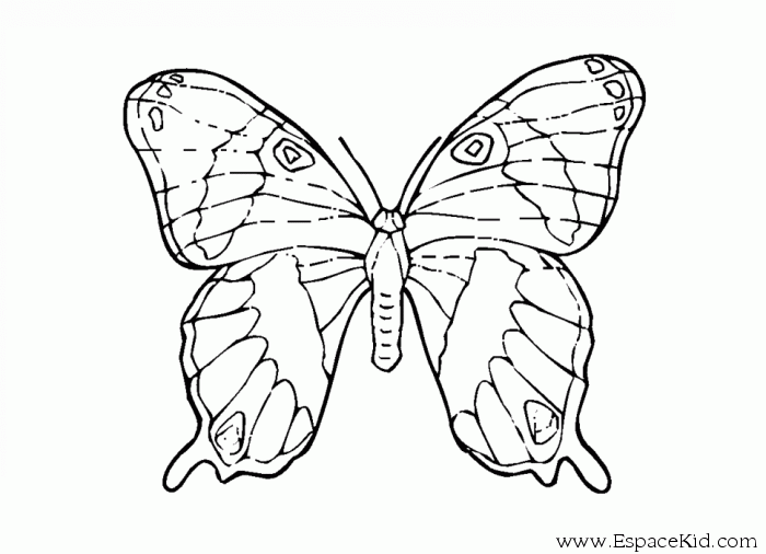 Coloriages pour les 3 - 4 ans - Joli papillon a imprimer