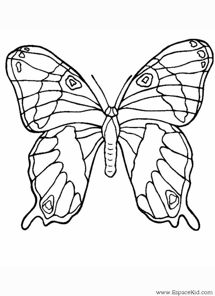 Coloriage De Papillons à Imprimer Gratuit Voyager En Solo