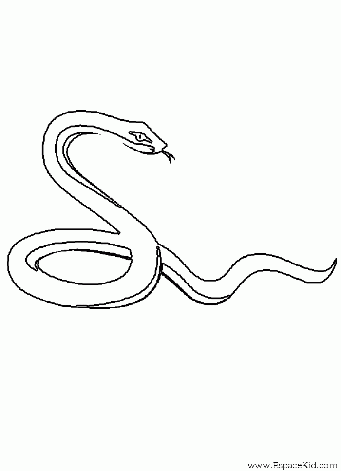 Coloriage Serpent Clair A Imprimer Dans Les Coloriages Serpent Dessin A Imprimer