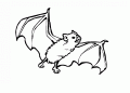 Coloriage Chauve-souris